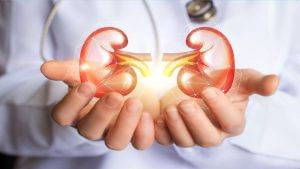 Kidney Health: વૃદ્ધાવસ્થા સુધી કિડનીને સ્વસ્થ રાખવા આ પાંચ વસ્તુઓ પર અમલ કરો