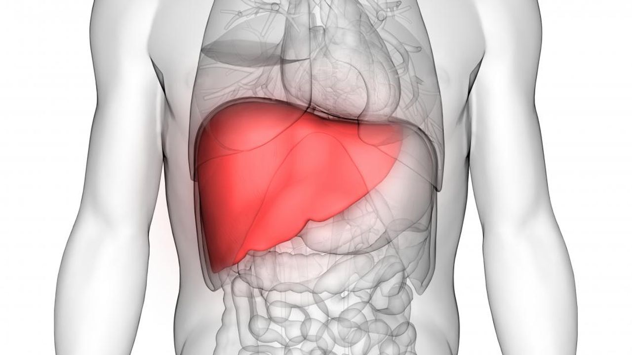 Liver Failure : જો ન જાણતા હો તો જાણી લેજો, આ રહ્યા લીવર ફેલ થયાના લક્ષણો