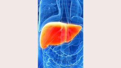 World Liver Day: દર વર્ષે 10 લાખ ભારતીયો બની રહ્યા છે લીવર સિરોસિસનો શિકાર, જાણો કેમ થાય છે આ બીમારી
