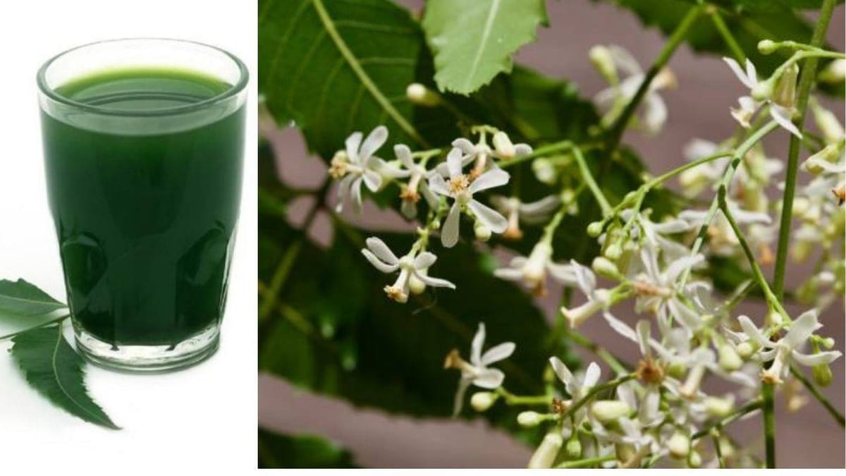 Neem Flowers: લીમડાના ફૂલનું શરબત પીવાથી શરીરને મળશે આ ફાયદા