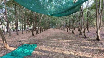 VNSGUનો નવો પ્રયોગ: હવે વિદ્યાર્થીઓ AC ક્લાસરૂમમાં નહીં ખુલ્લી છત નીચે લેશે શિક્ષણ