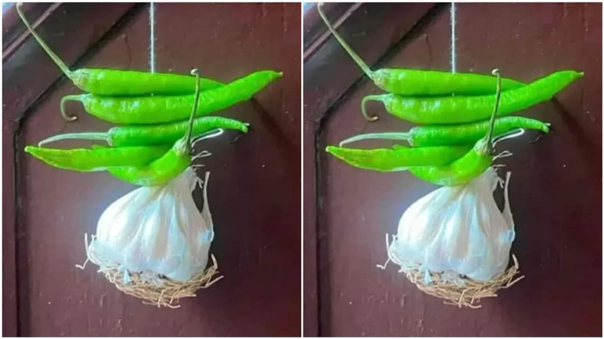 Funny Photo : ખરાબ નજરથી બચવા માટે લોકો લઈ રહ્યા છે લસણનો સહારો, IPS ઓફિસરે શેયર કરી મજાની તસવીર