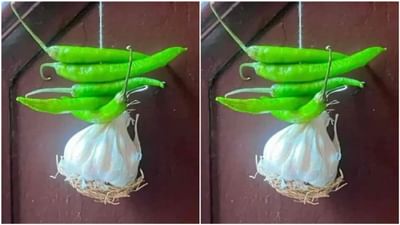 Funny Photo : ખરાબ નજરથી બચવા માટે લોકો લઈ રહ્યા છે લસણનો સહારો, IPS ઓફિસરે શેયર કરી મજાની તસવીર