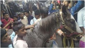 Viral Photo: મુસાફરોથી ભરેલી ટ્રેનમાં મુસાફરી કરતો જોવા મળ્યો ઘોડો, તસવીર જોઈને લોકો થયા આશ્ચર્યચકિત