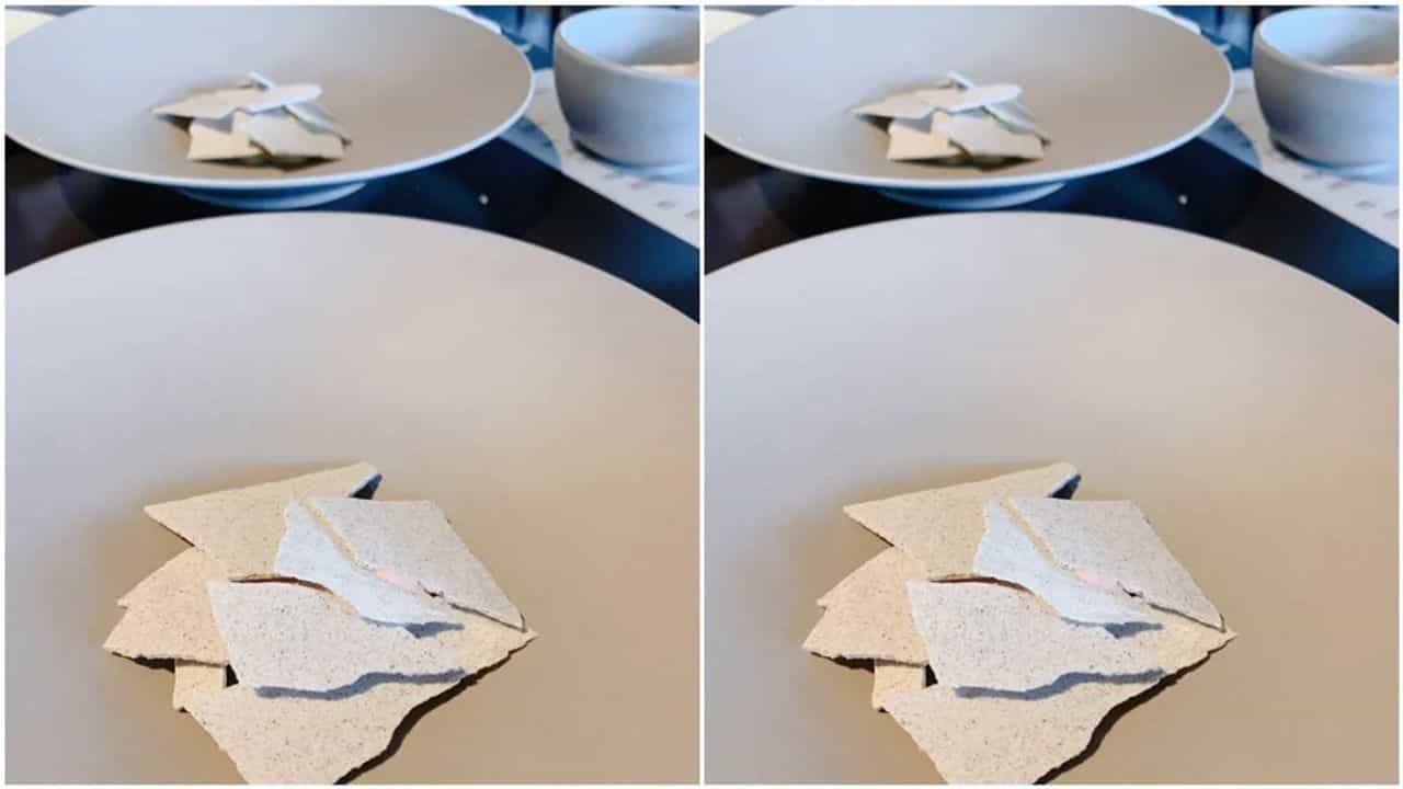 દિવાલ પરથી તૂટેલા પ્લાસ્ટર જેવો દેખાય છે આ આઈસ્ક્રીમ! સોશિયલ મીડિયા પર વાયરલ થઈ છે જાપાનની રેસ્ટોરન્ટની વિચિત્ર સ્વીટ ડીશ