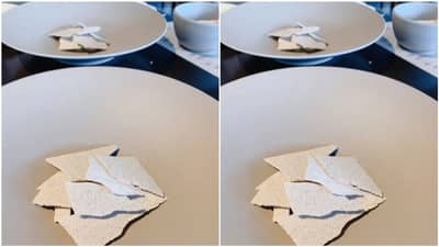 દિવાલ પરથી તૂટેલા પ્લાસ્ટર જેવો દેખાય છે આ આઈસ્ક્રીમ! સોશિયલ મીડિયા પર વાયરલ થઈ છે જાપાનની રેસ્ટોરન્ટની વિચિત્ર સ્વીટ ડીશ