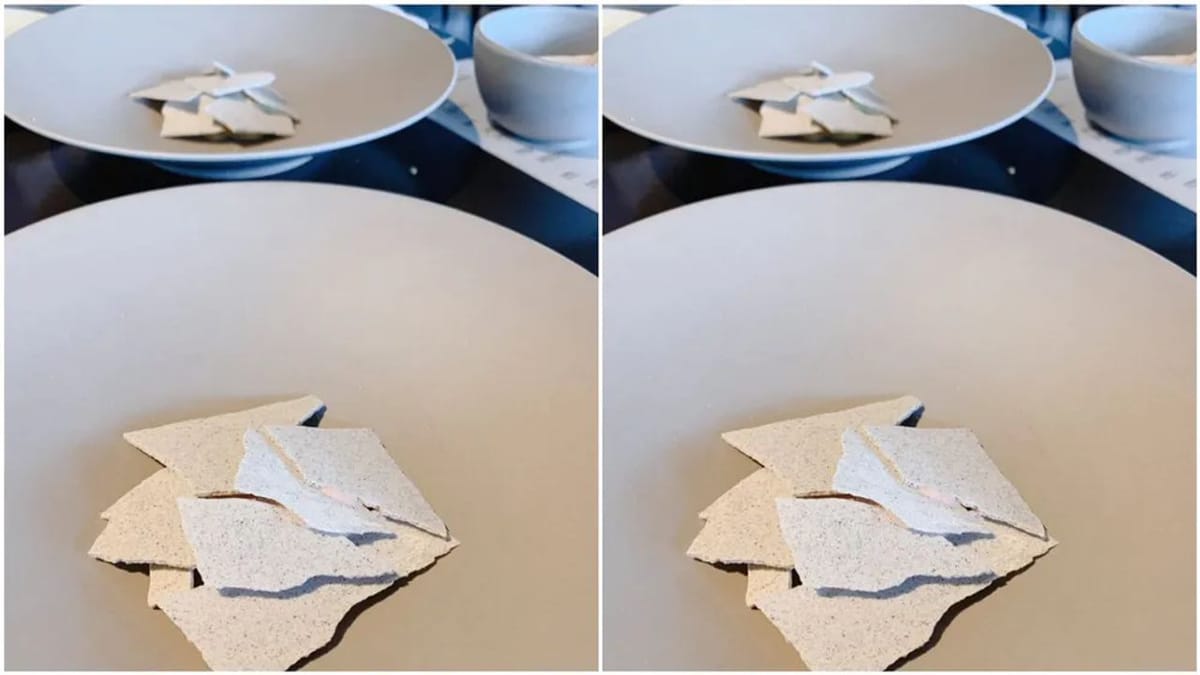 દિવાલ પરથી તૂટેલા પ્લાસ્ટર જેવો દેખાય છે આ આઈસ્ક્રીમ! સોશિયલ મીડિયા પર વાયરલ થઈ છે જાપાનની રેસ્ટોરન્ટની વિચિત્ર સ્વીટ ડીશ