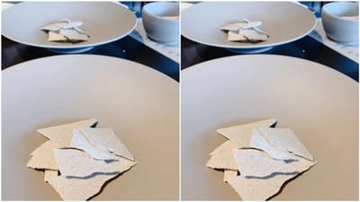 દિવાલ પરથી તૂટેલા પ્લાસ્ટર જેવો દેખાય છે આ આઈસ્ક્રીમ! સોશિયલ મીડિયા પર વાયરલ થઈ છે જાપાનની રેસ્ટોરન્ટની વિચિત્ર સ્વીટ ડીશ