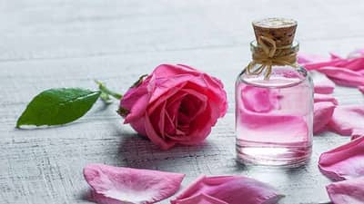 Rose Water : આ એક પાણી, ત્વચા પર કરશે જાદુની જેમ કામ, આપશે અનેક સમસ્યાઓથી છુટકારો