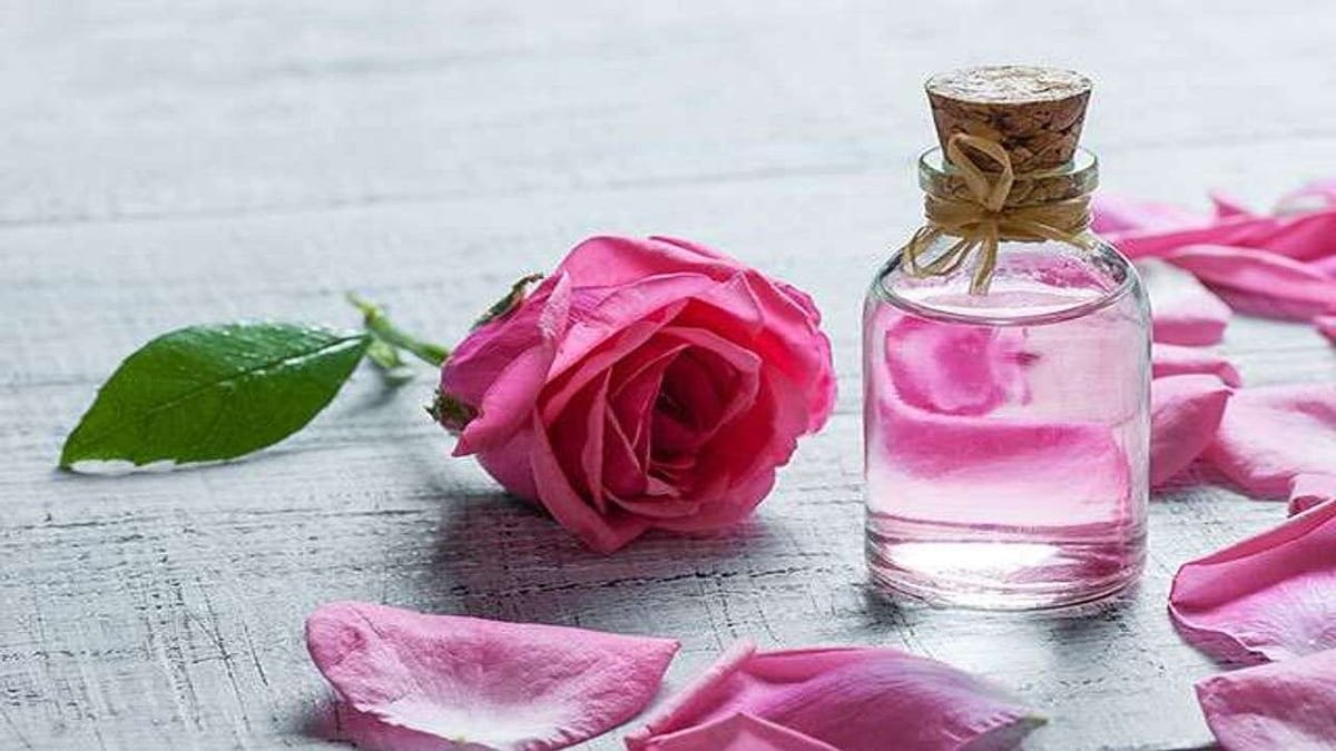 Rose Water : આ એક પાણી, ત્વચા પર કરશે જાદુની જેમ કામ, આપશે અનેક સમસ્યાઓથી છુટકારો