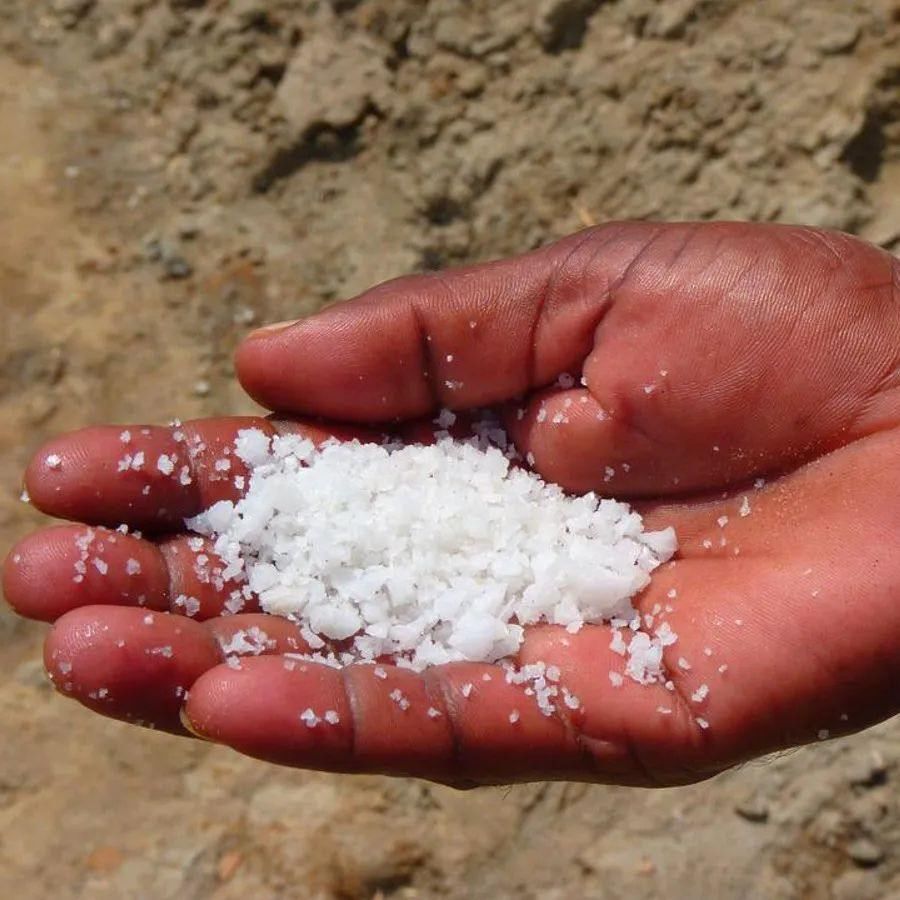 જો તમારે આ મીઠું લેવું હોય તો એક કિલો મીઠા માટે તમારે લગભગ 8 લાખ ત્રણ હજાર રૂપિયા ખર્ચવા પડશે. દર વર્ષે 10 મેટ્રિક ટન મીઠાનું ઉત્પાદન થાય છે. કેટલાંક અઠવાડિયાની મહેનત પછી આ મીઠું તૈયાર કરવામાં આવે છે અને તમામ કામ હાથ વડે થાય છે. મીઠાની પ્રક્રિયા તેને ખાસ અને રસપ્રદ બનાવે છે.