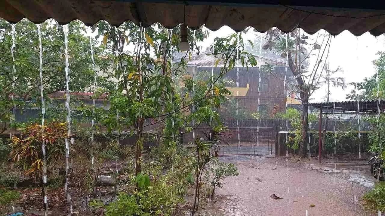 ગુજરાતમાં આજે માવઠાની આગાહી, જાણો ક્યાં ક્યાં વિસ્તારોમાં પડશે કમોસમી વરસાદ