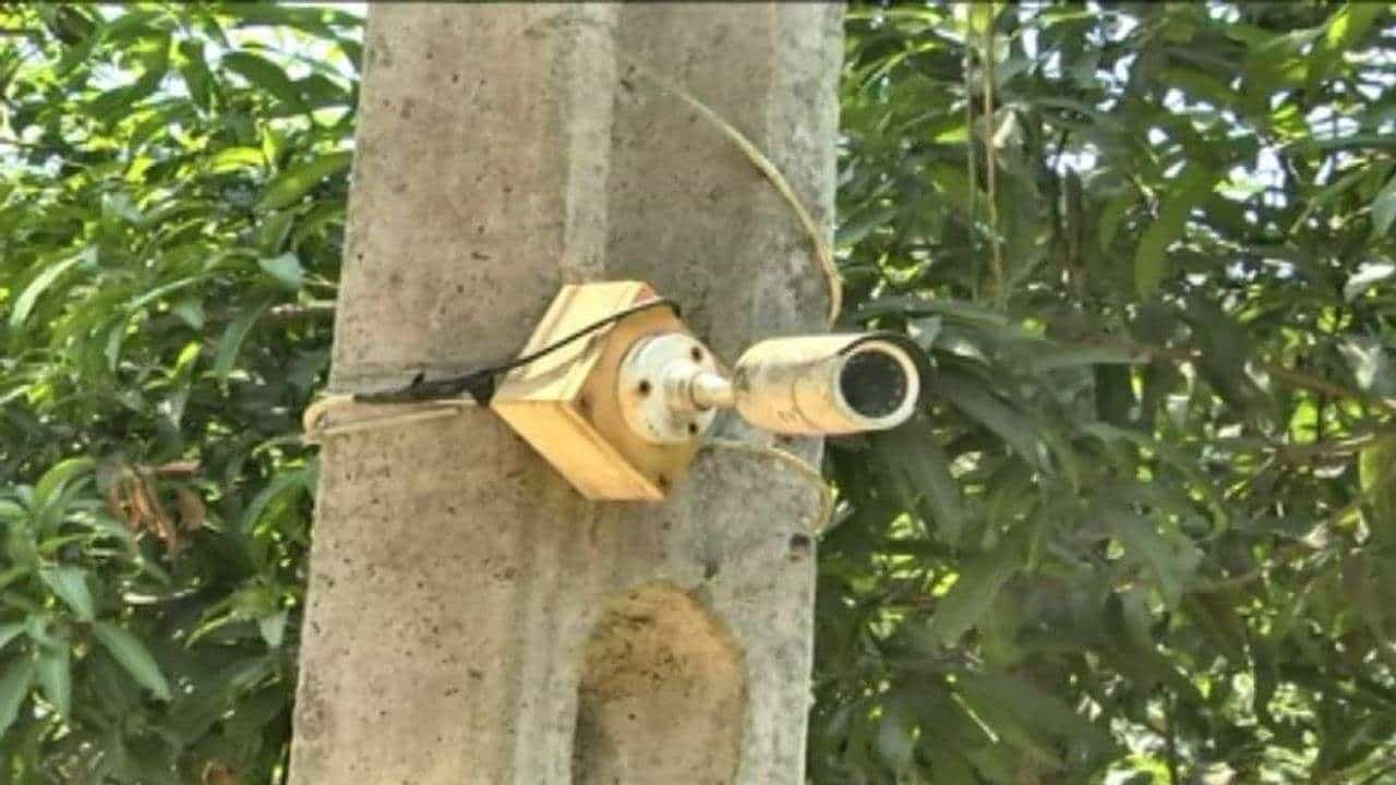 Valsad: લો બોલો હવે ખેતરોમાં CCTV, ખેડૂતોને હવે કેરી ચોરીનો ડર !