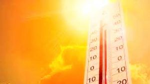 Delhi Weather Report: રાજધાનીમાં આગામી 10 દિવસો માટે હીટ વેવની આગાહી, 42 ડિગ્રી સુધી પહોંચી શકે છે તાપમાન, હવામાન વિભાગે જાહેર કર્યું યલો એલર્ટ