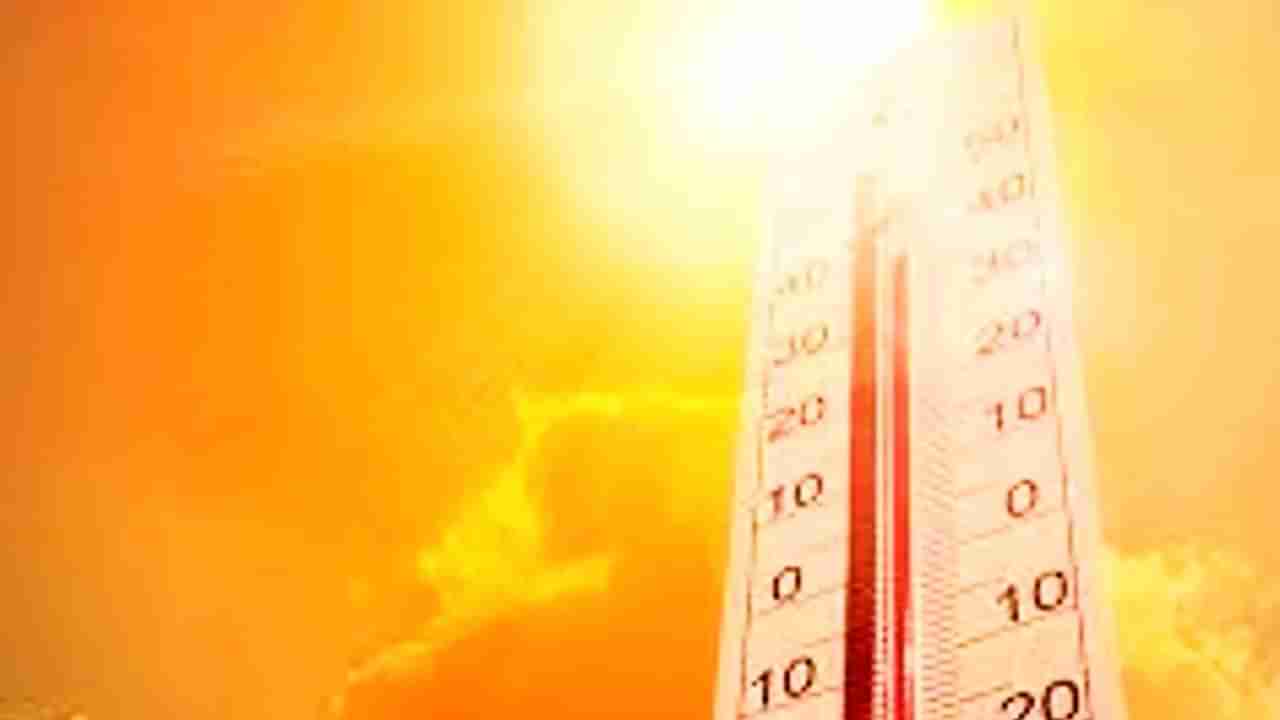Delhi Weather Report: રાજધાનીમાં આગામી 10 દિવસો માટે હીટ વેવની આગાહી, 42 ડિગ્રી સુધી પહોંચી શકે છે તાપમાન, હવામાન વિભાગે જાહેર કર્યું યલો એલર્ટ