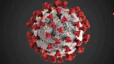 ગુજરાતમાં આજે કોરોનાના નવા 04 કેસ નોંધાયા, અમદાવાદમાં પ્રથમવાર એક પણ કેસ નહીં