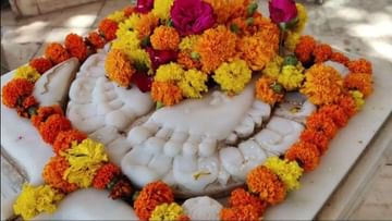 Gir Somnath: ગોલોકધામ ખાતે ચૈત્રી એકમે શ્રીકૃષ્ણ નિજધામ ગમન દિવસની શાસ્ત્રોક્ત ઉજવણી કરાઇ
