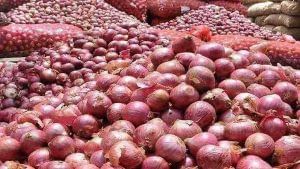 Onion Price: ડુંગળીના ભાવમાં સતત ઘટાડા વચ્ચે ખેડૂતોએ લીધો મોટો નિર્ણય, સામાન્ય લોકોને થશે તેની અસર