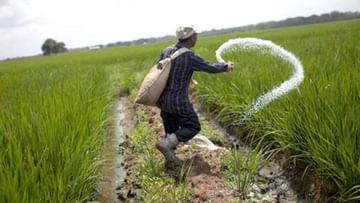Kharif 2022: પ્રતિબંધો છતાં ખેડૂતોને DAPની અછત નહી રહે, રશિયા બન્યું ખાતરનું સૌથી મોટું સપ્લાયર