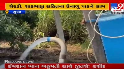 Surat: દક્ષિણ ગુજરાત વીજ કંપનીએ ખેડૂતોને 8 કલાક વીજળી આપી, 522 વીજ ફીડરોમાં વીજ પુરવઠો અપાયો Surat: દક્ષિણ ગુજરાત વીજ કંપનીએ ખેડૂતોને 8 કલાક વીજળી આપી, 522 વીજ ફીડરોમાં વીજ પુરવઠો અપાયો