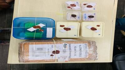 ગુજરાતમાં ફરી ડ્રગ્સની હેરાફેરીનો પર્દાફાશ, રાજસ્થાનથી નવસારી થઈ USA પહોંચાડવાનો હતો ડ્રગ્સનો જથ્થો