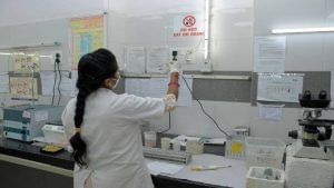 Vadodara: સયાજી હોસ્પિટલના બ્લડ સેન્ટરને મળી ગુજરાતમાં પ્રથમ સ્ટેમ સેલ હારવેસ્ટિંગની પરવાનગી, વિવિધ રોગનાં દર્દીઓ માટે બનશે લાભકારક