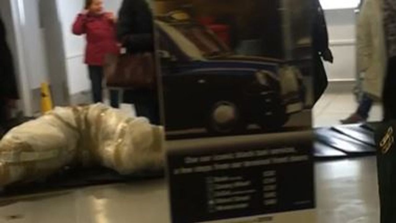 Shocking Video : અરે, આ શું..બેલ્ટ પર મૃતદેહ ? એરપોર્ટ પર સામાન લેતા લોકોને જોવા મળ્યો 'મૃતદેહ', જુઓ હેરાન કરતો નજારો