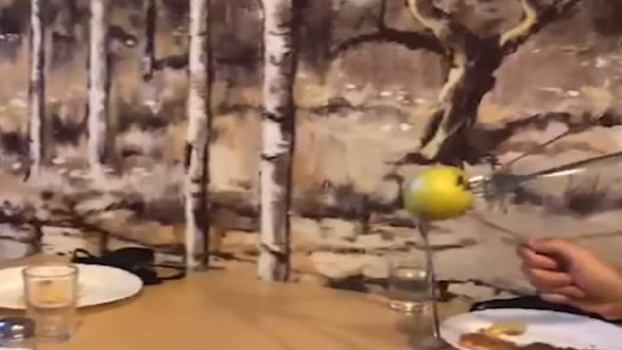 Viral Video: રેસ્ટોરન્ટમાં મિત્રોને સુઝી એક અદ્ભુત રમત, જૂઓ કઈ રીતે રમ્યા ડાઈનિંગ ટેબલ પર રમત