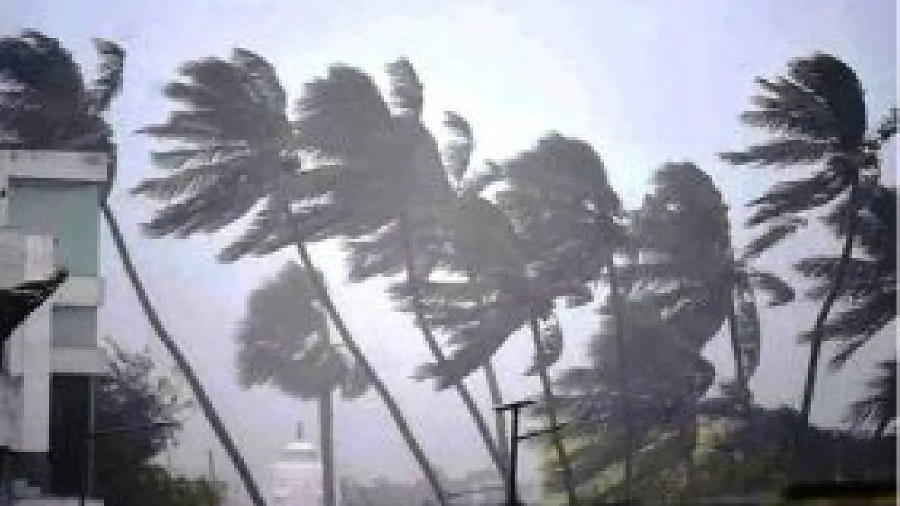Cyclone Asani: 16 કિલોમીટર પ્રતિ કલાકની ઝડપે આગળ વધી રહ્યું છે ચક્રવાત, આંધ્રપ્રદેશ, ઓડિશા અને બંગાળમાં એલર્ટ