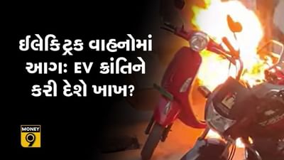 MONEY9: ઈલેક્ટ્રિક વાહનોના વેચાણમાં તેજી આવે તેની પહેલાં જ લાગી જશે બ્રેક?