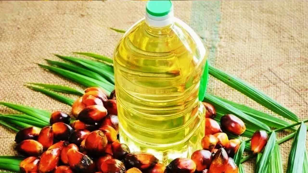Edible Oil: પામ તેલ પર ભારતની વિદેશી નિર્ભરતા ઘટશે, ટૂંક સમયમાં આ રાજ્યમાં બમણું થશે ઉત્પાદન