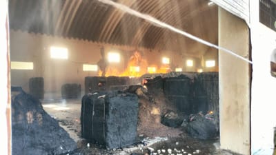 Botad: રાણપુરમા પૂરવઠા વિભાગના ગોડાઉનમાં આગ, અનાજના જથ્થાને ભારે નુકસાન