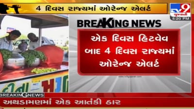 રાજ્યમાં હજુ એક દિવસ કાળઝાળ ગરમી પડશે, આ જિલ્લાઓમાં હિટવેવની આગાહી