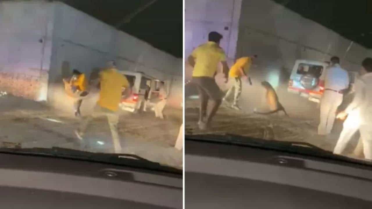 Leopard Attack Video: દીપડાના હુમલાનો ખતરનાક વીડિયો વાયરલ, ભારે જહેમત બાદ પોલીસકર્મીઓએ દિપડાને કર્યો કાબૂ