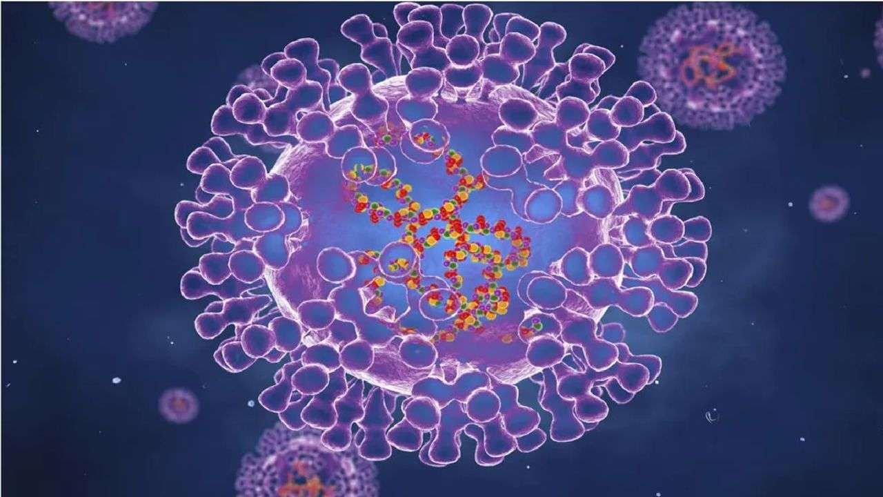 Monkeypox: દેશમાં મંકીપોક્સનો પહેલો કેસ આવ્યો, નિષ્ણાતે કહ્યું- આ વાયરસ બની શકે છે ખતરનાક