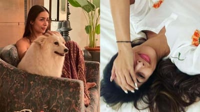 Road Accident: 'એક અઠવાડિયા પછી જ્યારે મેં મારી જાતને અરીસામાં જોઈ..', મલાઈકા અરોરાએ શું કહ્યુ તે જાણો