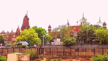 Mathura Shahi Idgah: મુસ્લિમ પક્ષના વકીલનો મોટો દાવો, મંદિર ટ્રસ્ટે ક્યારેય વાંધો ઉઠાવ્યો નથી, બહારના લોકો અરજી કરી રહ્યા છે