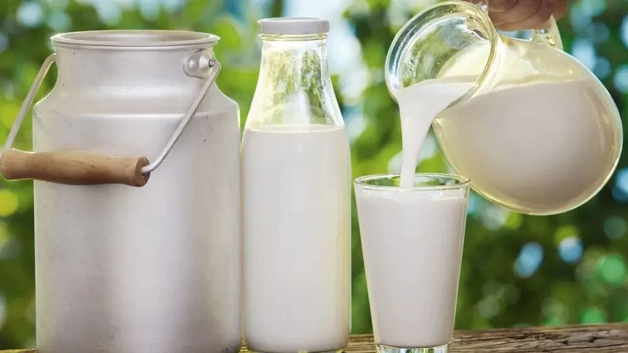 Health Tips : શું તમે જાણો છો ઠંડુ દુધ પણ સ્વાસ્થ્ય માટે ફાયદાકારક છે? જાણો તેના ફાયદા