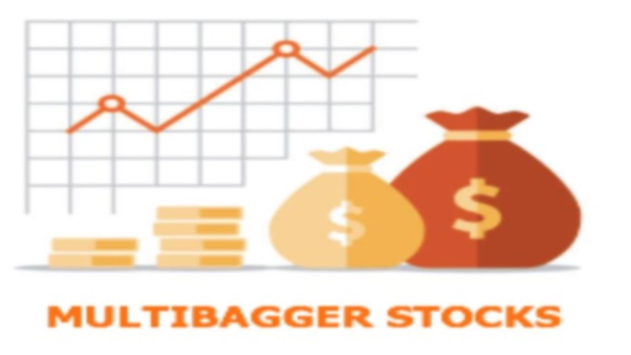 Multibagger-Stock
