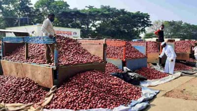 ડુંગળીના લઘુત્તમ ટેકાના ભાવ જાહેર કરવાની માગ, ભાવ ઘટવાથી ખેડૂતો પરેશાન