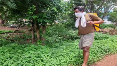 ખેડૂતો માટે મોટા સમાચાર! સરકાર જંતુનાશક દવાઓ પર વધારી શકે છે સબસિડી