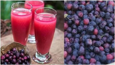 Phalsa Juiceના છે ઘણા ફાયદા, અંગ દઝાડતી ગરમીમાં ફાલસાનું જ્યૂસ બ્લડ પ્રેશરને રાખશે નિયંત્રણમાં