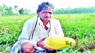 Success Story: પ્રગતિશીલ ખેડૂતે કરી પીળા તરબુચની ખેતી, લોકોને ખુબ પસંદ આવ્યો તેનો સ્વાદ