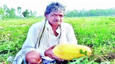 Success Story: પ્રગતિશીલ ખેડૂતે કરી પીળા તરબુચની ખેતી, લોકોને ખુબ પસંદ આવ્યો તેનો સ્વાદ