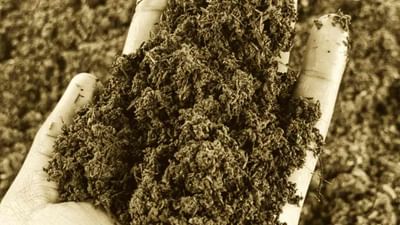 ખેડૂતો માટે મોટી ખુશખબર ! DAP નો વિકલ્પ બનશે PROM, ખતમ થશે ખાતરનું ટેન્શન