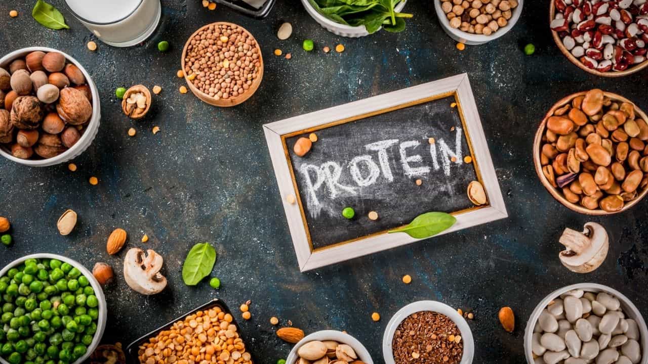 Health: બાળકોમાં પ્રોટીનની પૂરતી માત્રા સુનિશ્ચિત કરવાનો મુખ્ય રસ્તો ડાઈવરસિફાઈડ આહાર