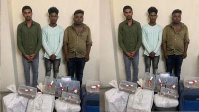 સુરત SOG પોલીસ દ્વારા રેલવે સ્ટેશન બહાર યુવકનુ બેગ ચેક કરતા જે મળ્યું તે જોઈને પોલીસ પણ ચોંકી ઉઠી