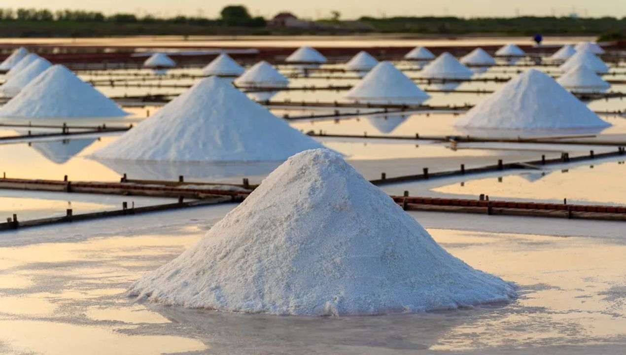 હવે મીઠુ થશે બેસ્વાદ ! 30 ટકા ઉત્પાદન ઘટવાની શક્યતા વચ્ચે વધશે મીઠાના ભાવ