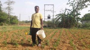 Success Story : યુવા પ્રગિતશીલ ખેડૂતે સ્થળાંતરના બદલે પસંદ કરી ખેતી, આજે છે સફળ ખેડૂત