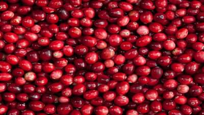 Women Health : યુરીનરી ઇન્ફેક્શનની સમસ્યા દૂર કરવા આ એક નાનું ફળ લાગશે કામ